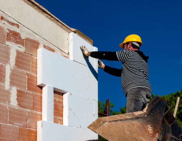 Best Insulation Materials and Products in Pasadena Hills, FL
