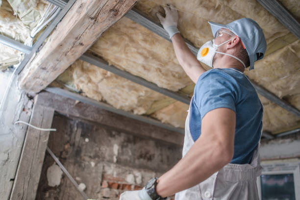 Best Insulation for Specific Applications in Pasadena Hills, FL