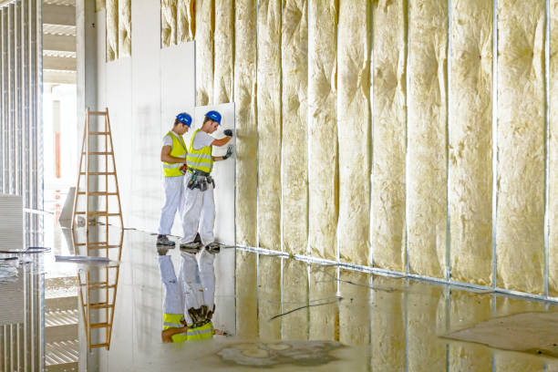 Best Insulation Installation Services in Pasadena Hills, FL